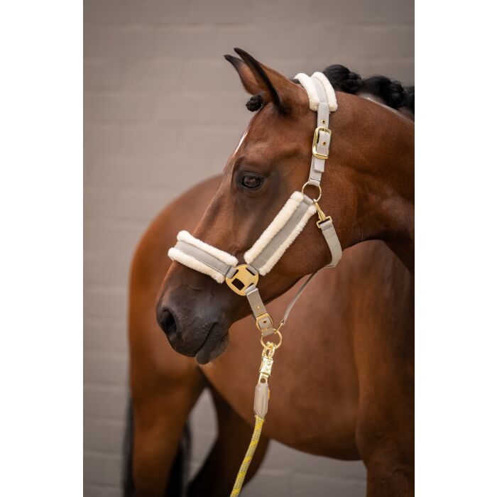 HKM Head collar -Limone Elegant- - Image 2