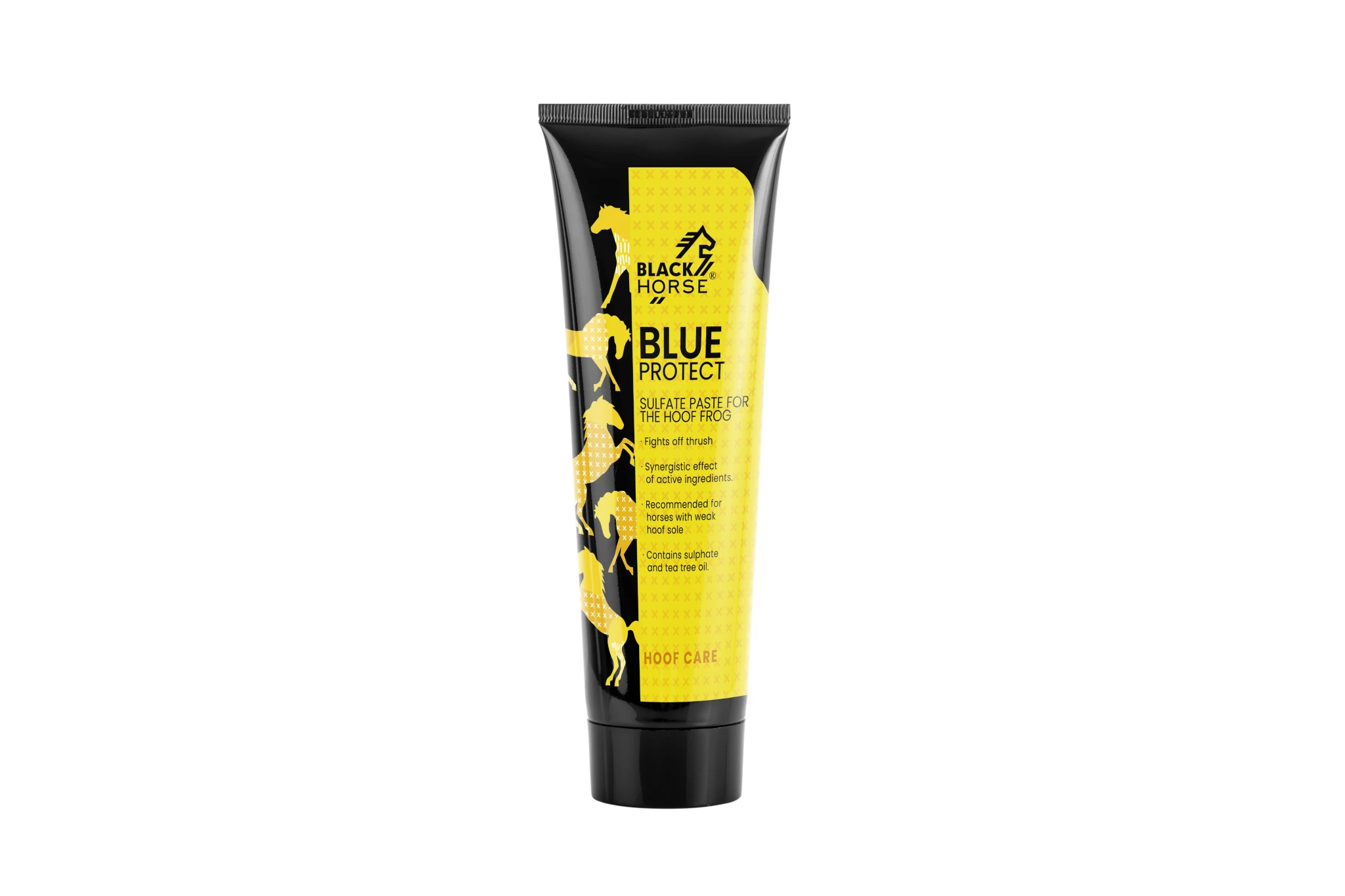 BLACK HORSE Sulfate paste BLUE PROTECT - Image 2