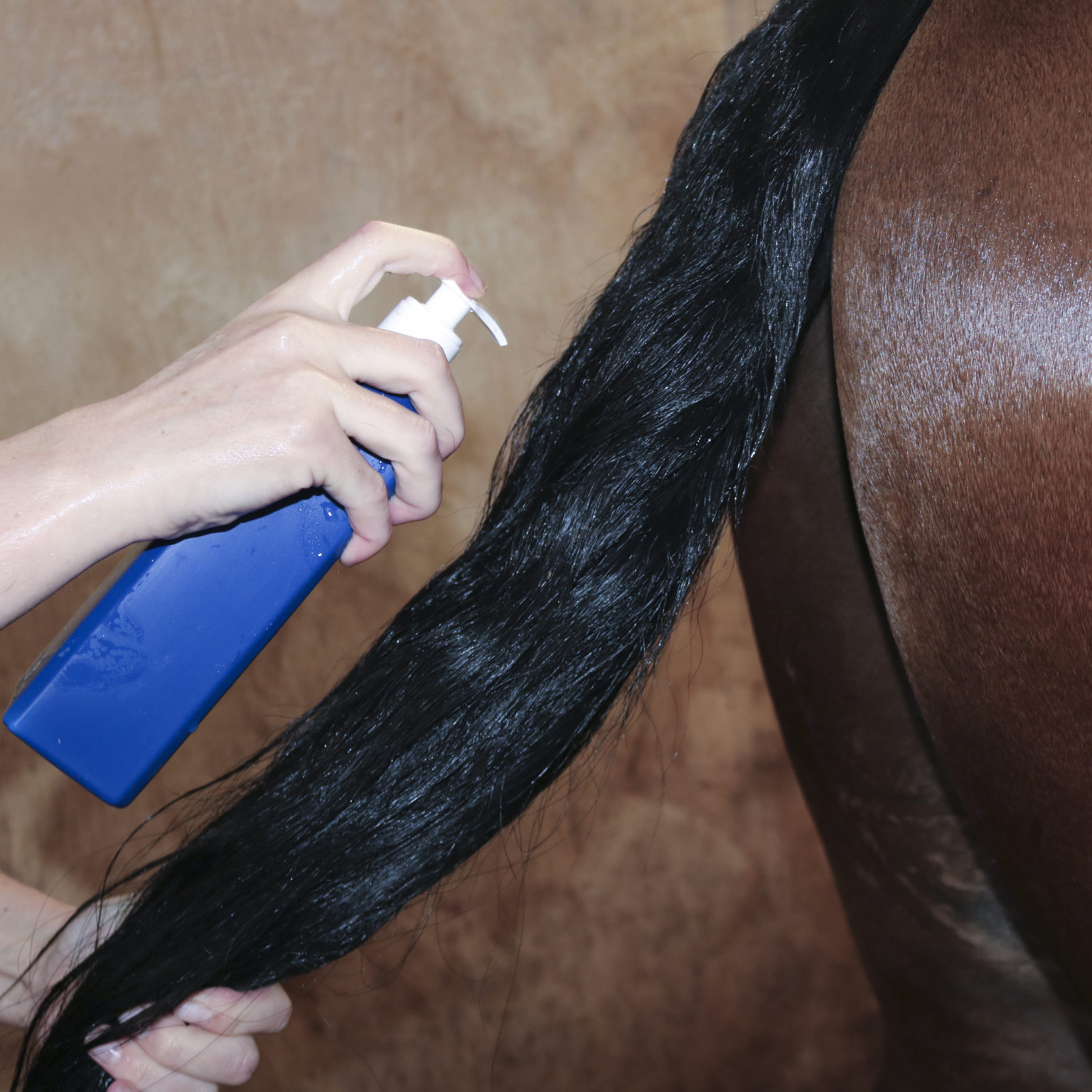 NATHALIE HORSE CARE Digby Conditioner - Image 3