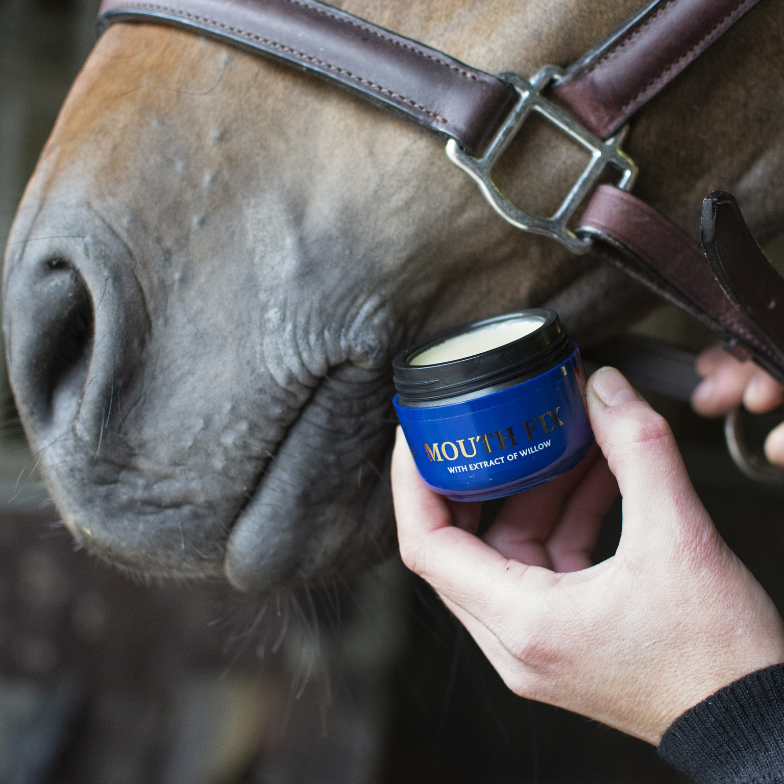 NATHALIE HORSE CARE Mouth fix 50 ml. - Image 2