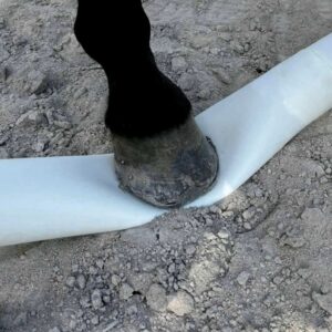 HIPPOTONIC Modular Ground Pole – Flexible