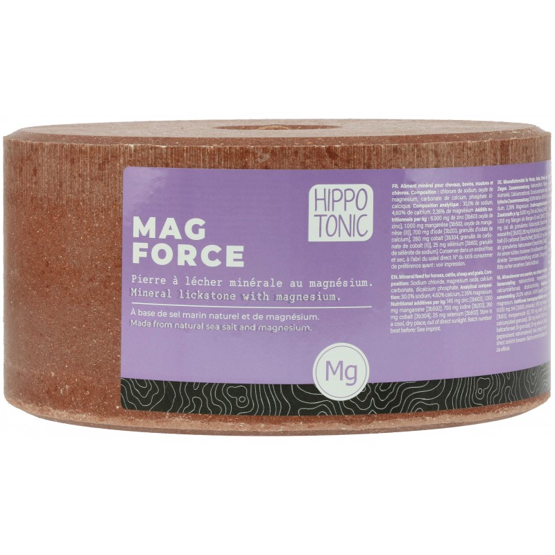 HIPPOTONIC Salt Lick – Magforce