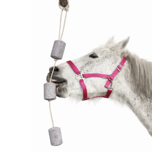 HORSYD Natural horse treat on a rope, 1,56 kg.