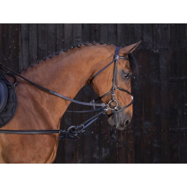 RIDING WORLD Rubber side reins