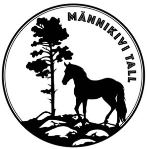 Männikivi tall